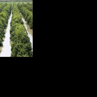 Farmers in the North African kingdom have for the past few years endured severe drought