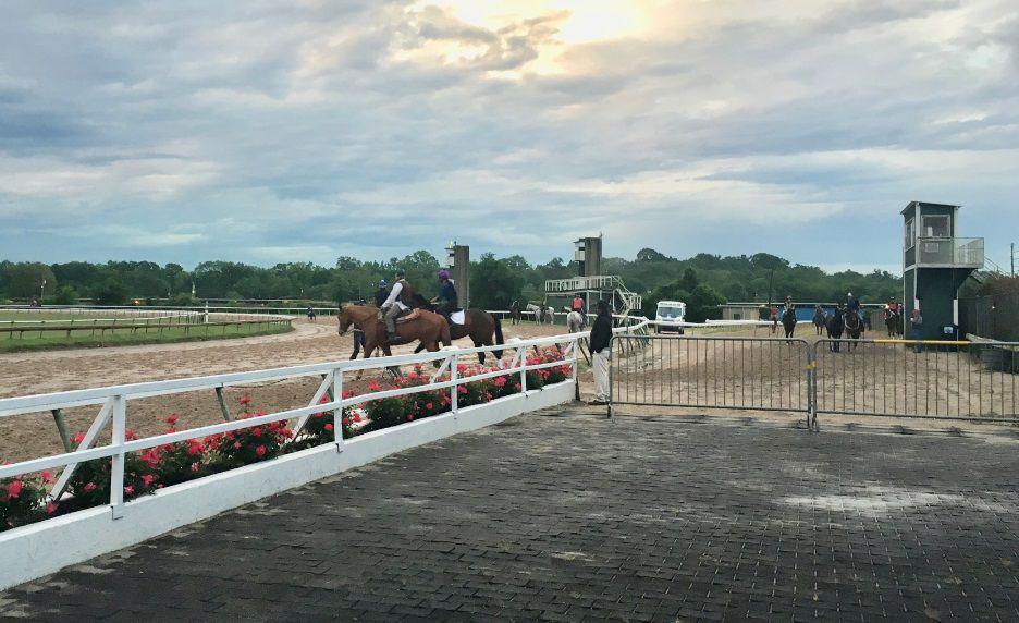 Live Louisiana Downs horseracing opens to spectators News