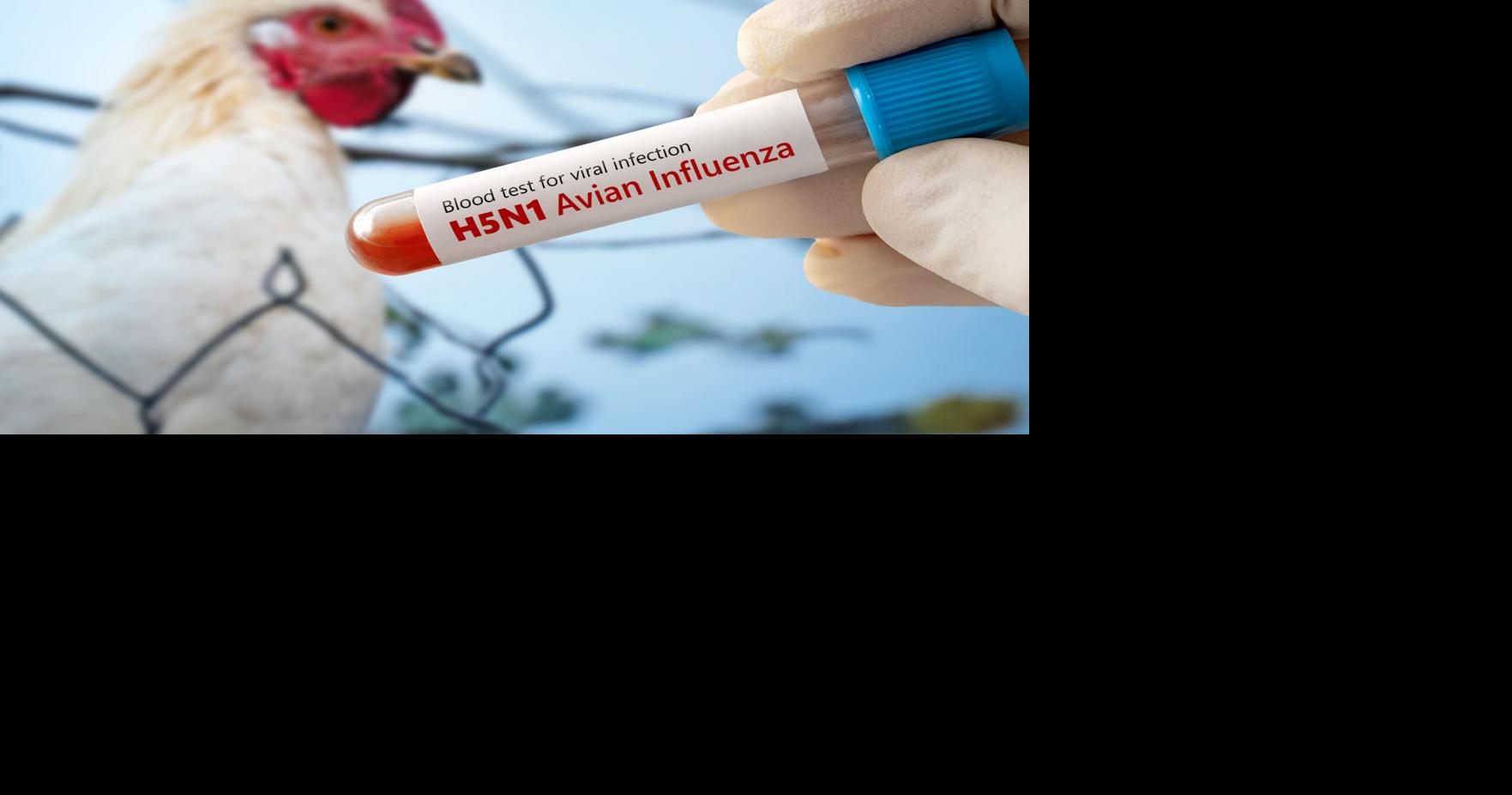 Bird flu returns to Louisiana as fall migrations begin