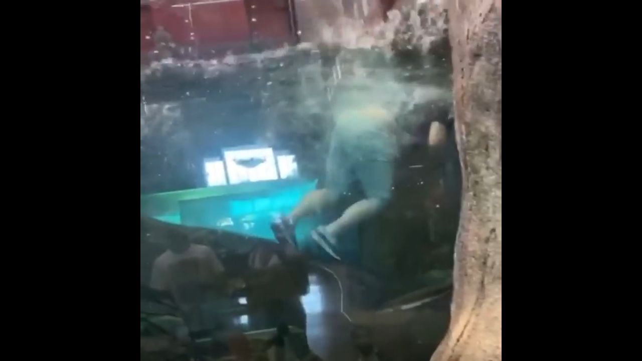 Man takes swim in Bass Pro Shops' fish tank, police investigate