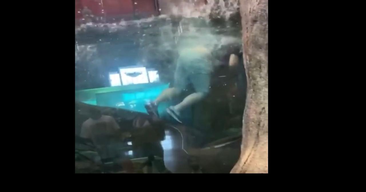 Man takes swim in Bass Pro Shops' fish tank, police investigate