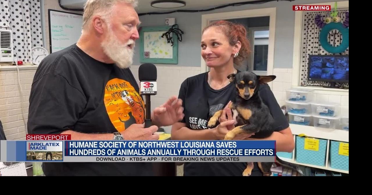 Humane Society of Northwest Louisiana saves hundreds of animals ...