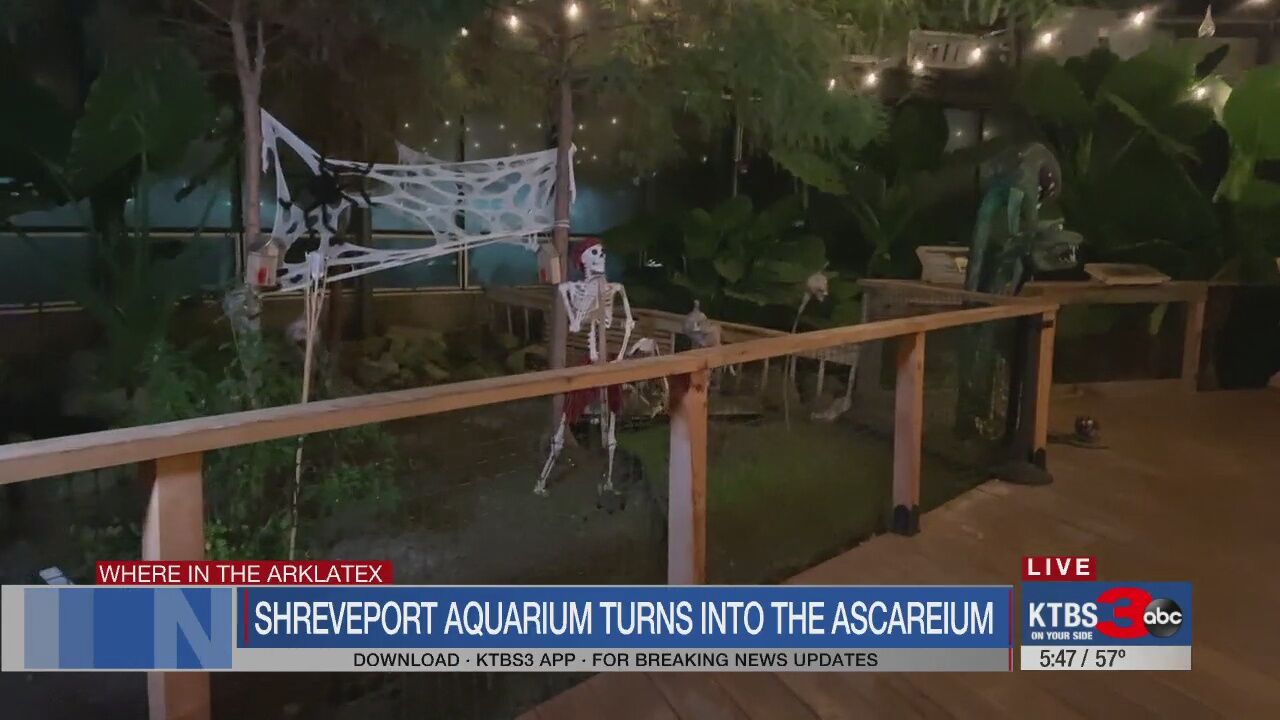 Rick Rowe's Where In The ArkLaTex: The Shreveport Aquarium's ASCAREium ...