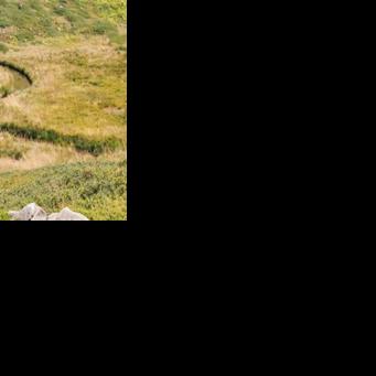 American evolutionary biologist Toby Kiers has been awarded the Tyler Prize for Environmental Achievement -- sometimes called the "Nobel for the environment" -- for her work that shines a light on the hidden undergound world of fungal webs