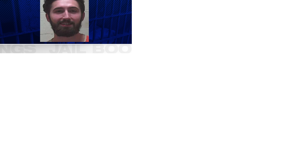 Lincoln Parish man arrested after admitting to killing dog - Vimarsana News