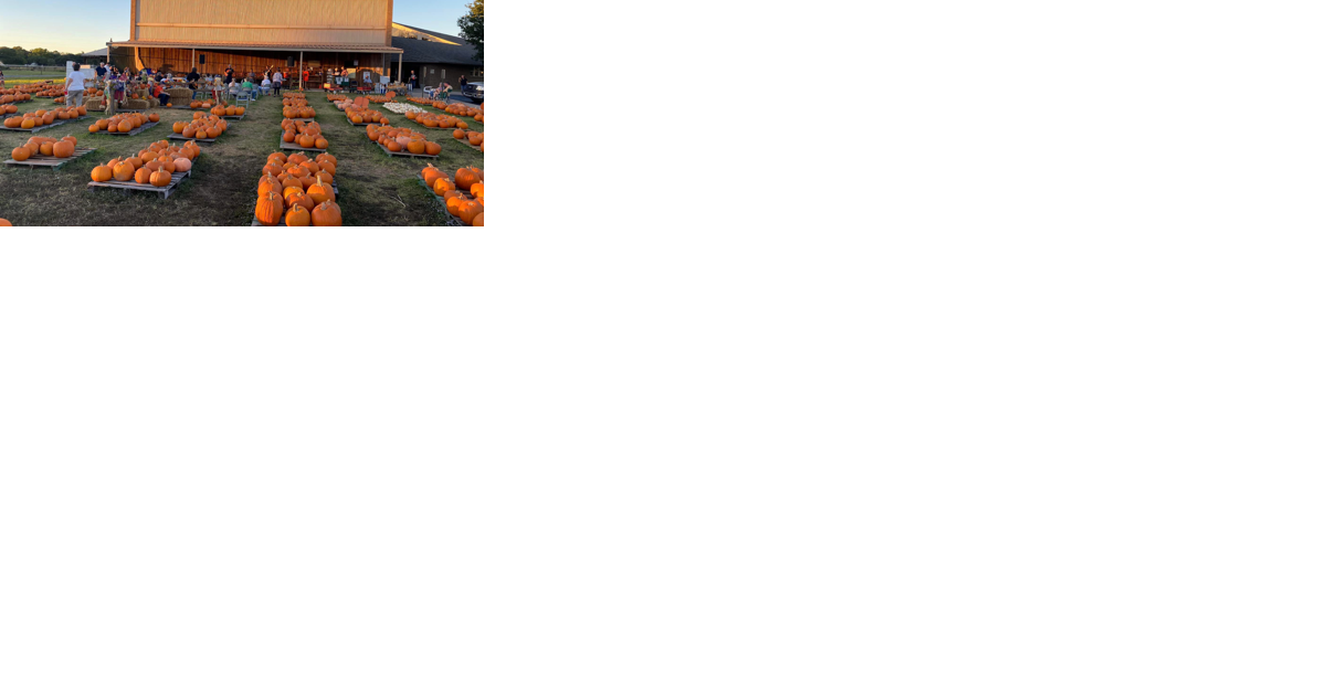 Pumpkin proceeds to benefit local non-profits - Vimarsana News