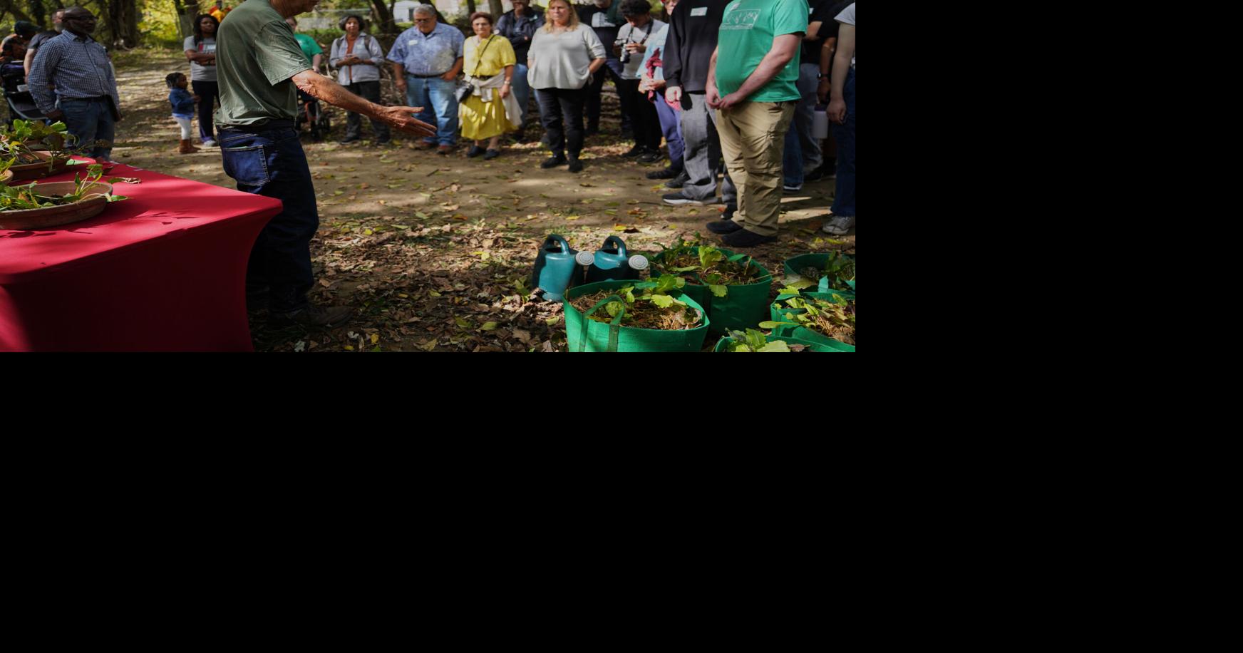 Social Disconnection Photo Essay