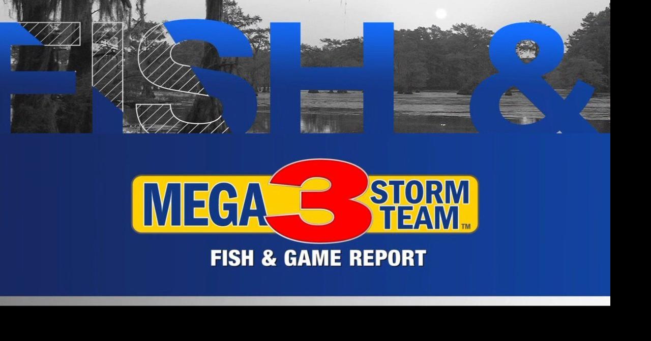 Fish and Game Report
