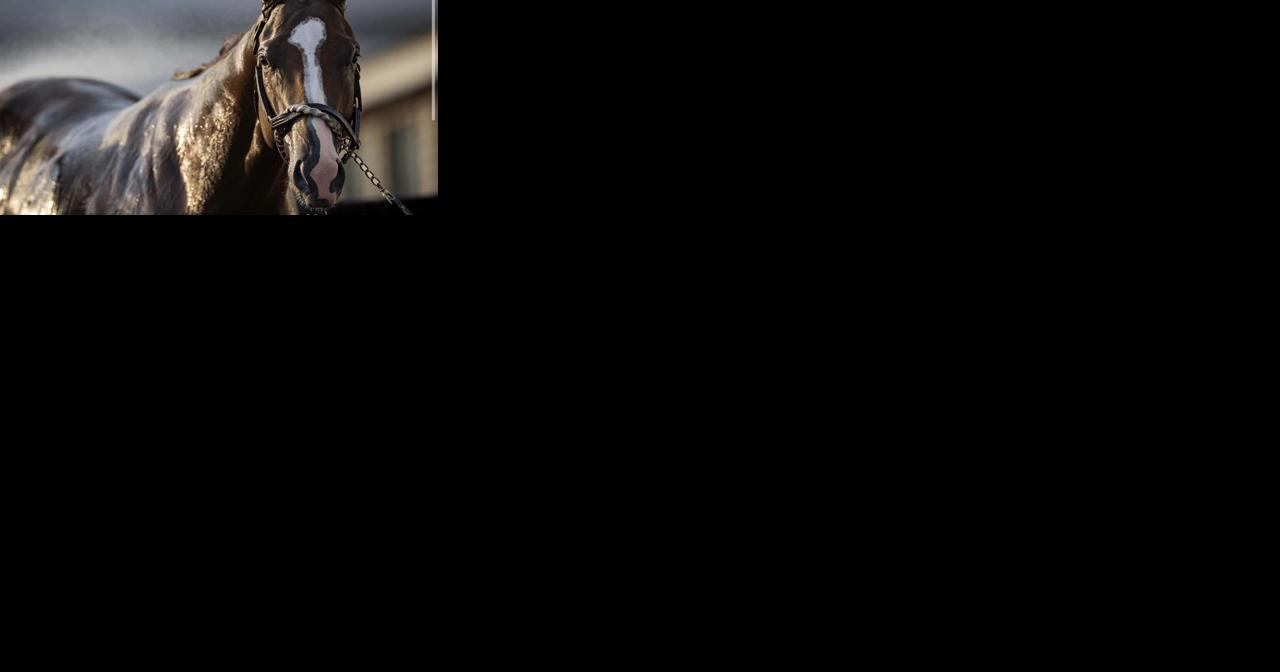 Horse with Shreveport ties racing in Kentucky Derby - Vimarsana News