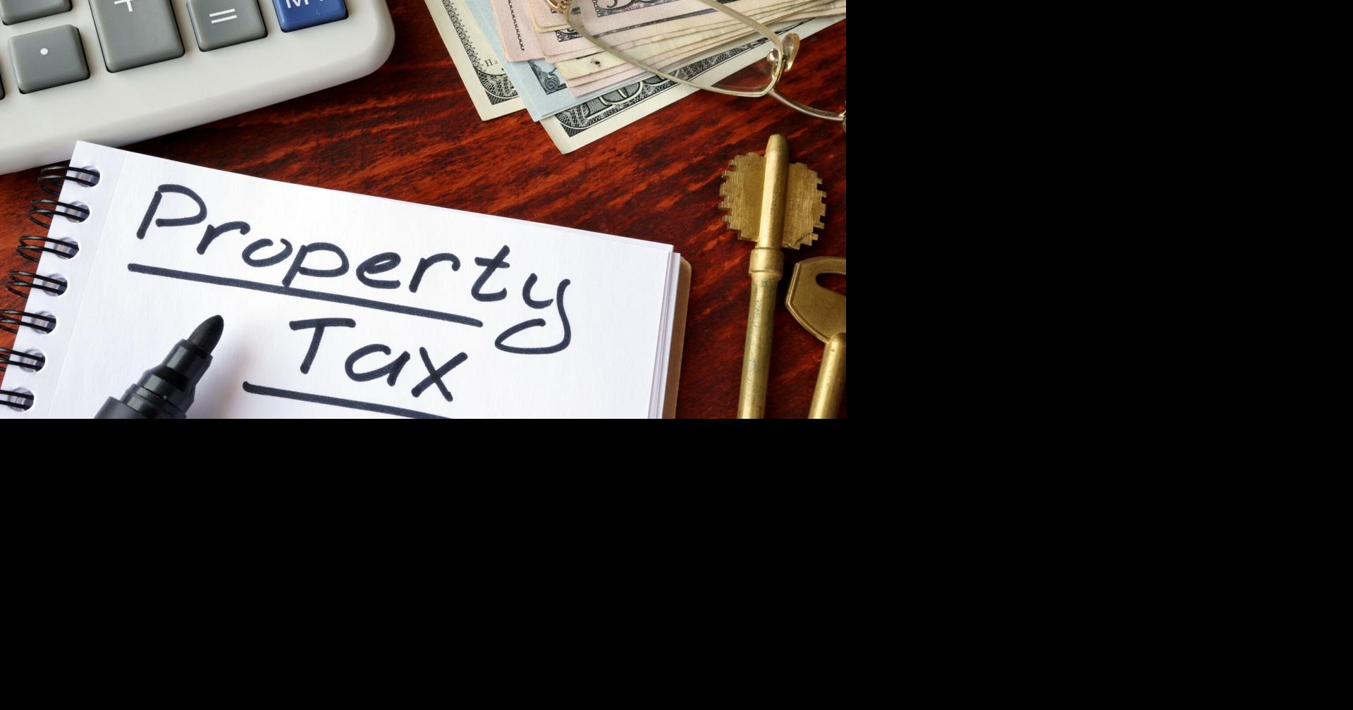 Constitutional Amendment 2 supporters see tax savings, opponents fear ...