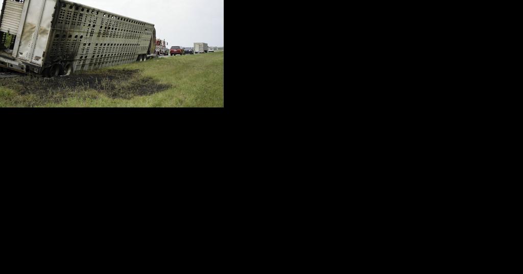Some livestock die in trailer fire on I-49; northbound lanes closed - Vimarsana News