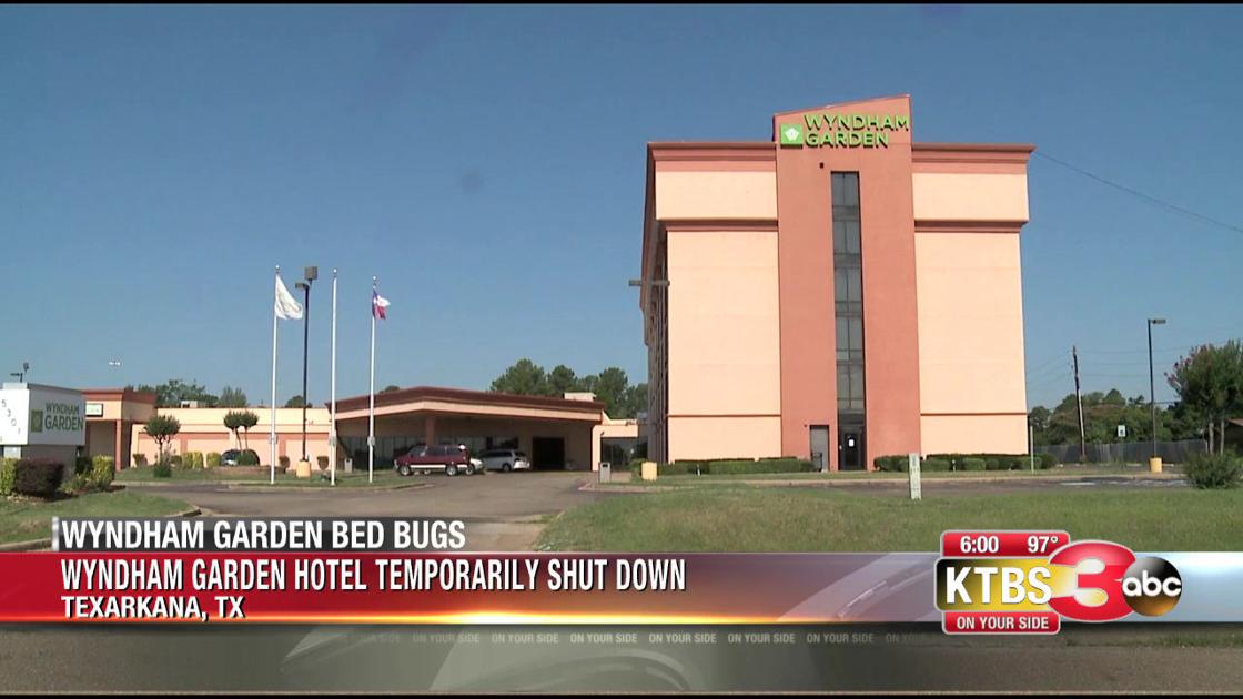 Texarkana Hotel Shut Down Due To Bed Bug Infestation News Ktbs Com
