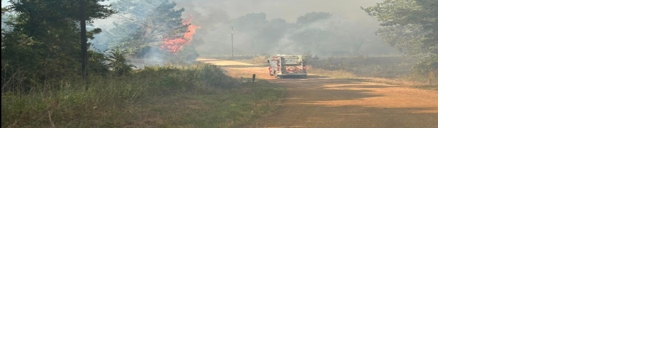 Statewide burn ban still in effect, Texas raises fire danger to level 4 - Vimarsana News