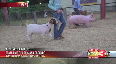 Jr. Livestock auction