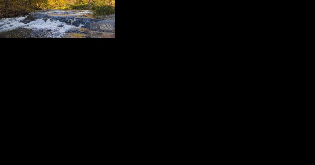 Where in the ArkLaTex is Rick Rowe? Beavers Bend State Park - Vimarsana News