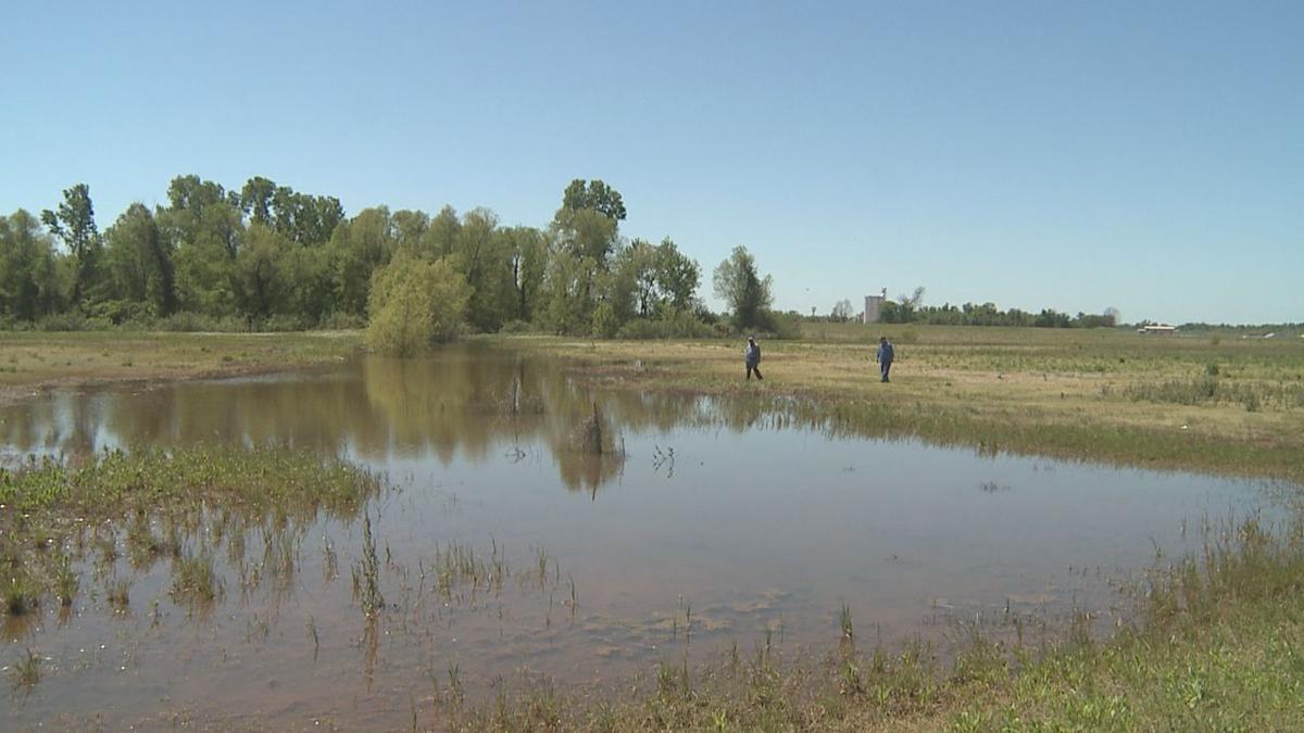 relief may be in sight for bossier farmer battling drainage woes arklatex in depth ktbs com bossier farmer battling drainage woes