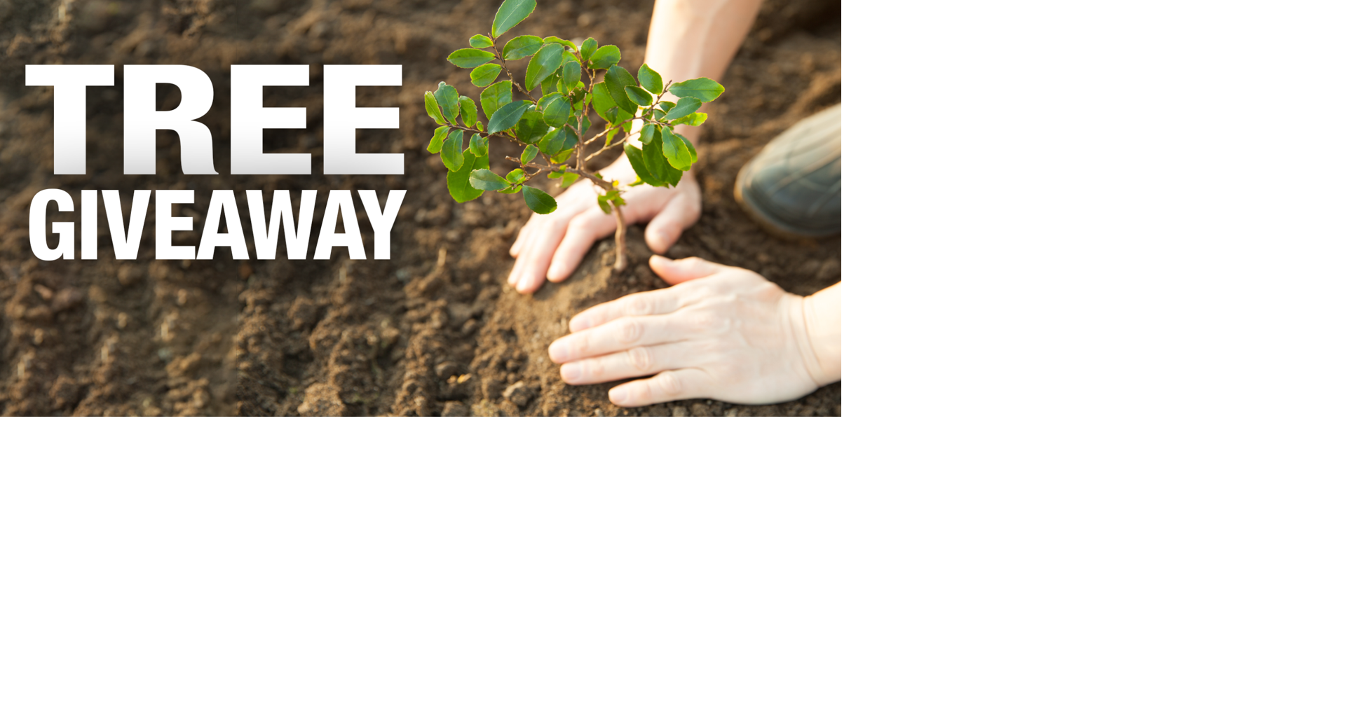 Keep Bossier Beautiful sponsors Tree Giveaway on Saturday | Community ...