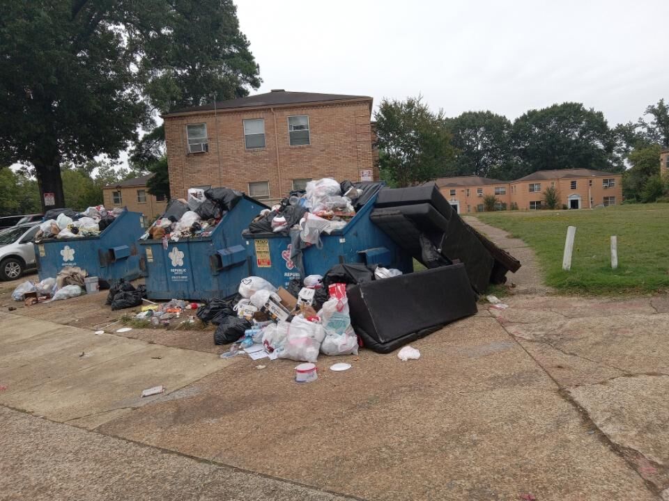 LSU Litter Institute to take on Louisiana's trash - Axios New Orleans