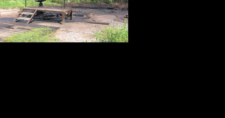 New federal office will help tackle Louisiana's massive 'orphan' oil well problem - Vimarsana News