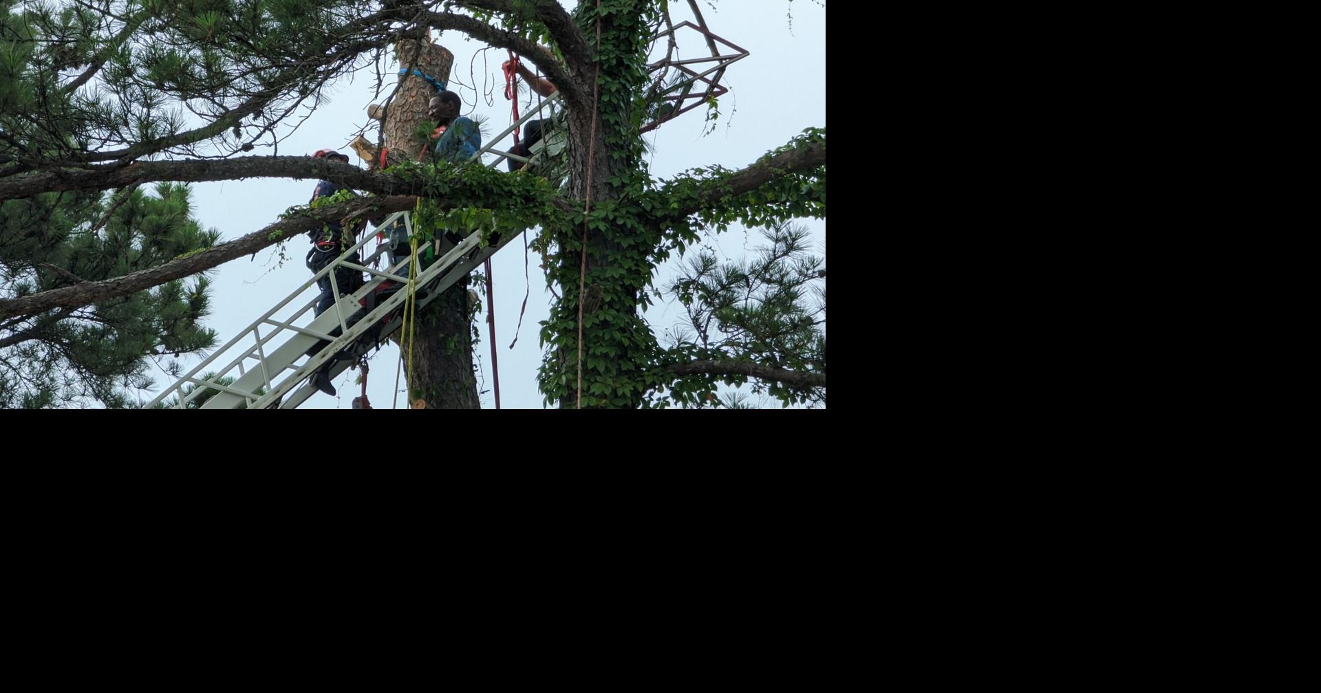 Worker trapped between tree and broken branch in Shreveport | News ...