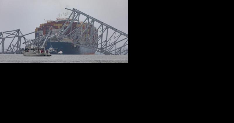 Feds found shipping firm tied to bridge collision retaliated against whistleblower - Vimarsana News