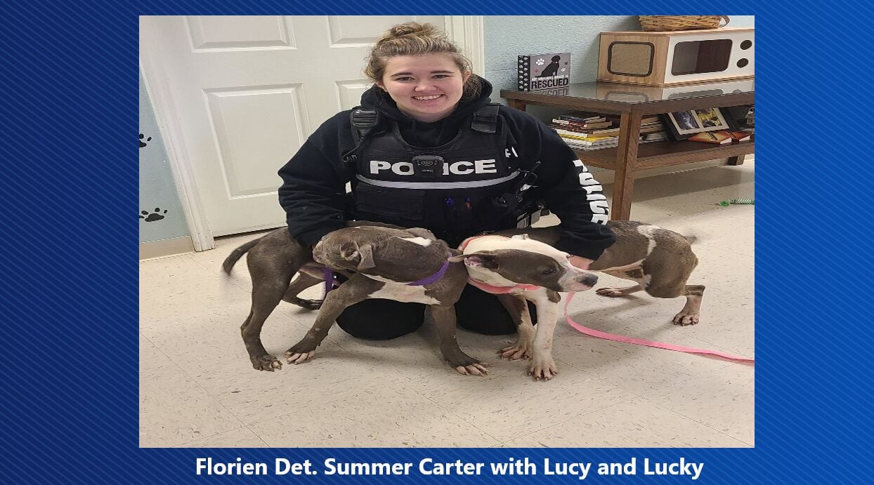 Owner Of Abandoned Pit Bulls Arrested By Florien Police News Ktbs Com   63d2c839c2c6f.image 