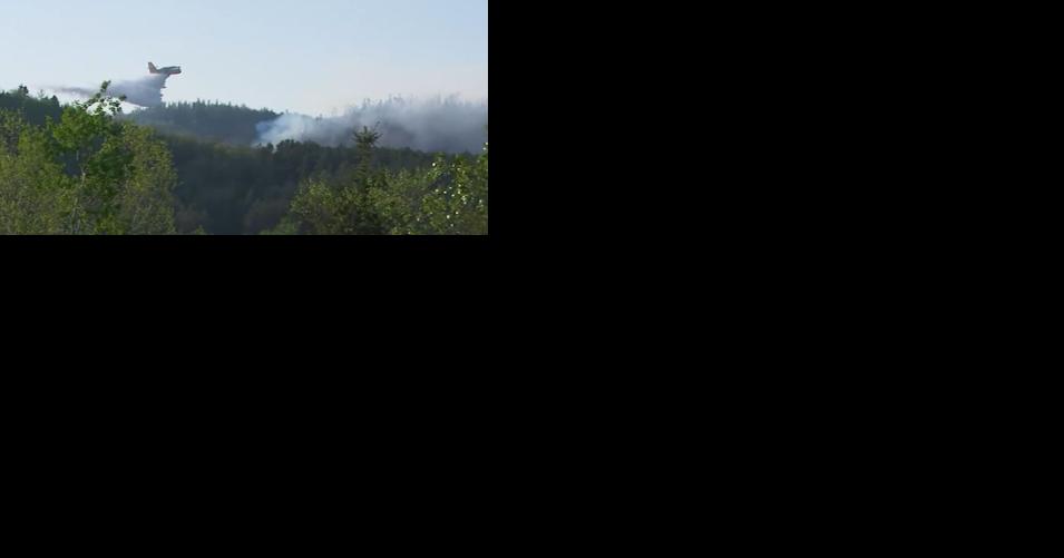 LDH: Take air quality from wildfires seriously - Vimarsana News