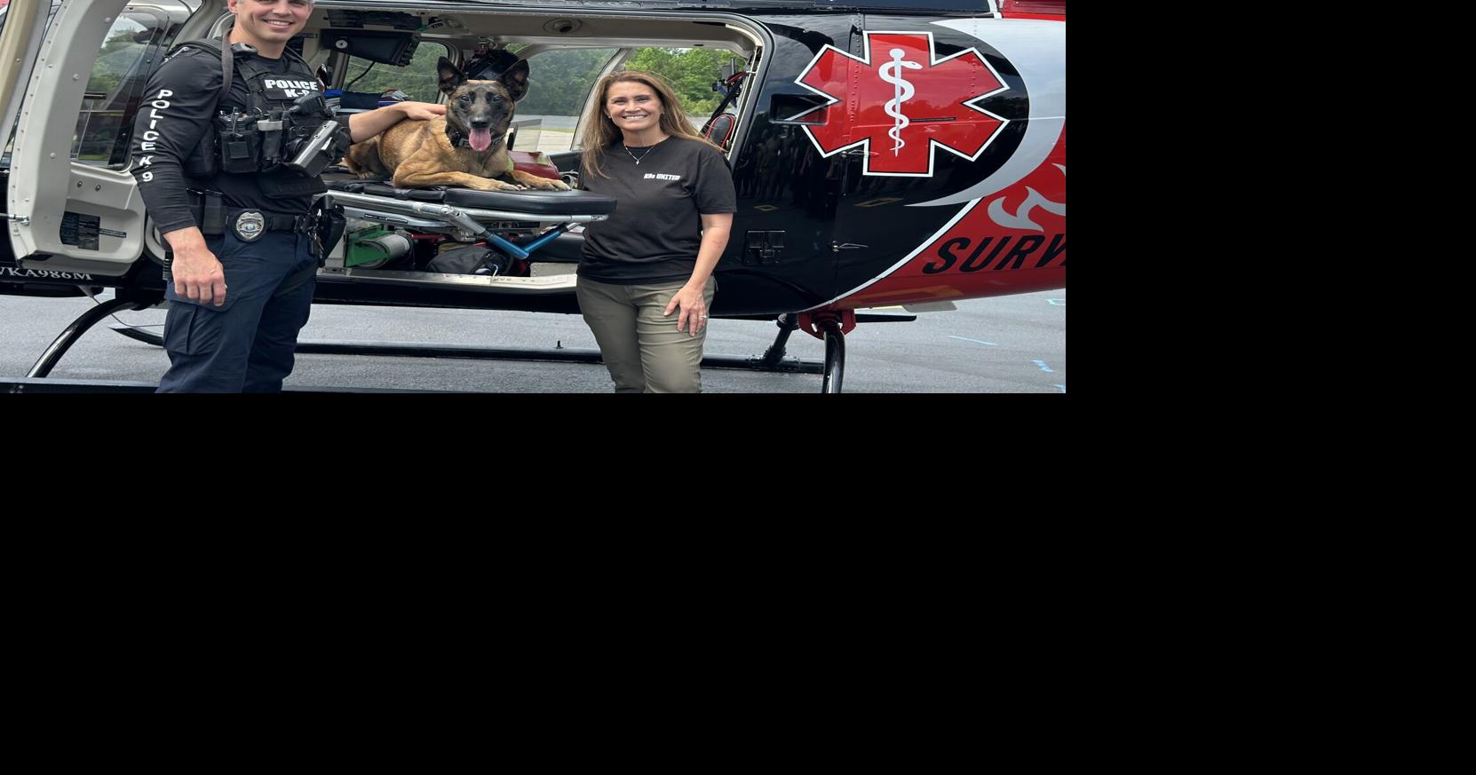 Running event to honor fallen K9's across the United States | In Case ...