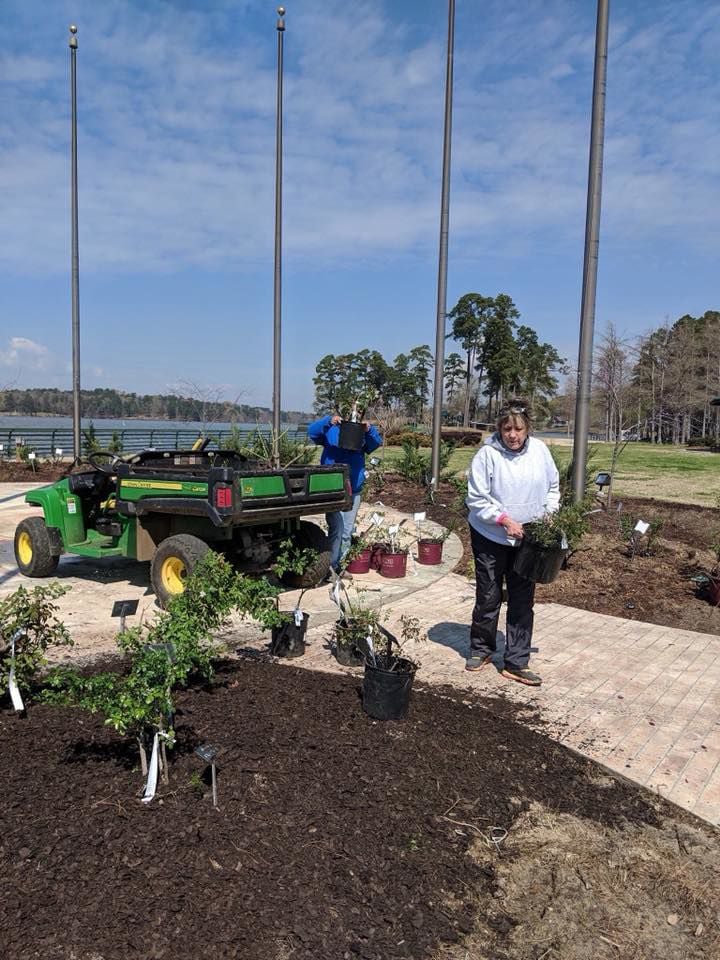 Hodges Gardens Rose Bushes Moved To Cypress Bend Park News