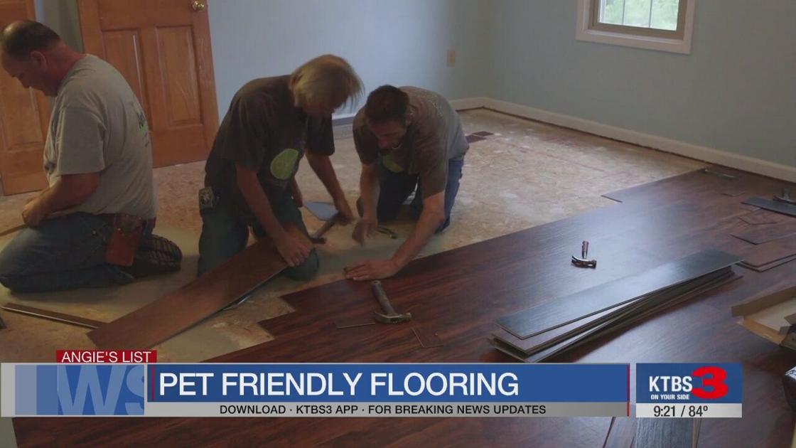 Angie S List Hardwood Floors And Pets Ktbs Com