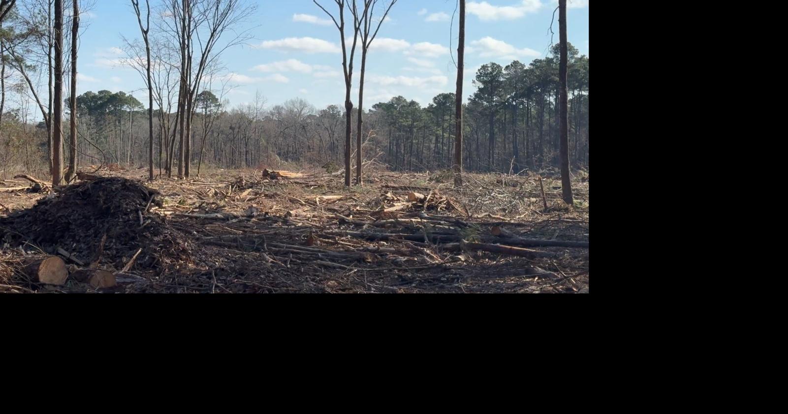 Residents worry as single developer eyes Northwest Louisiana properties for possible data centers