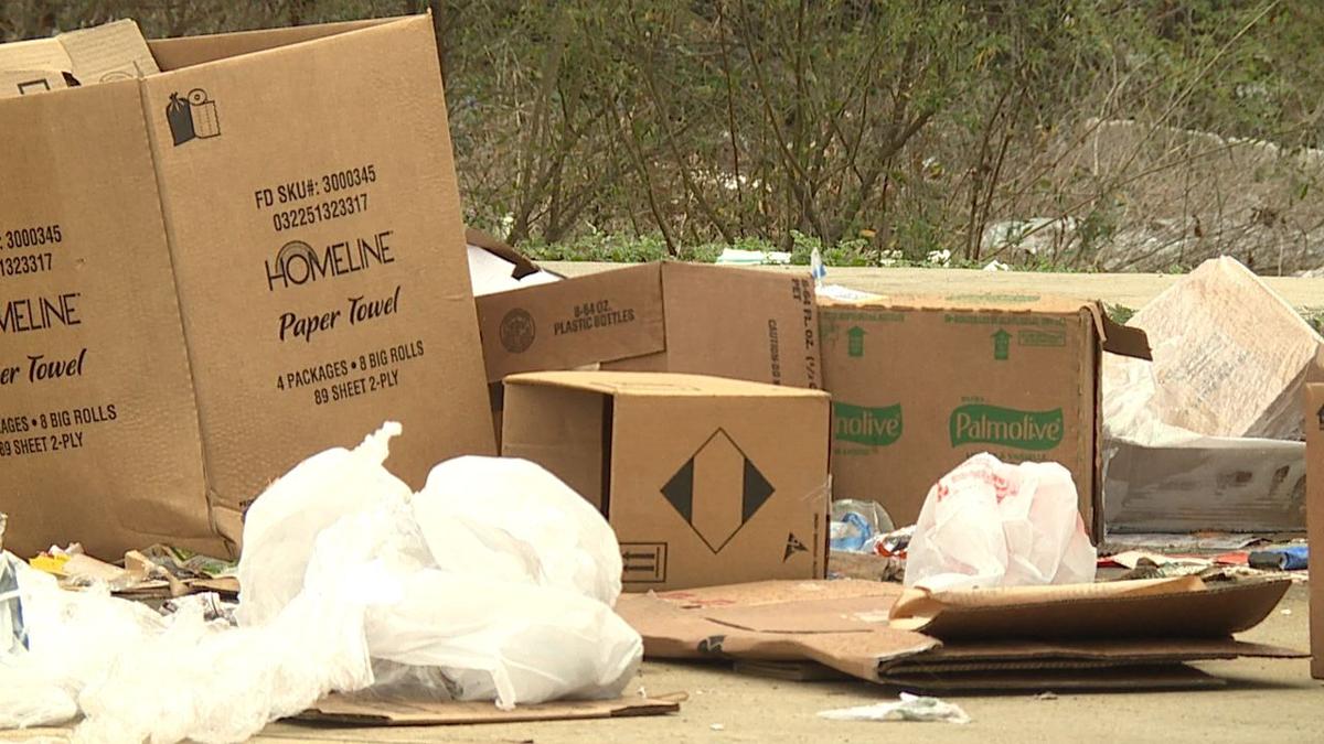 Residents fed up with trashy Family Dollar store in Queensborough
