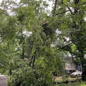 Rain causes downed trees, flooding in the Arklatex - Vimarsana News