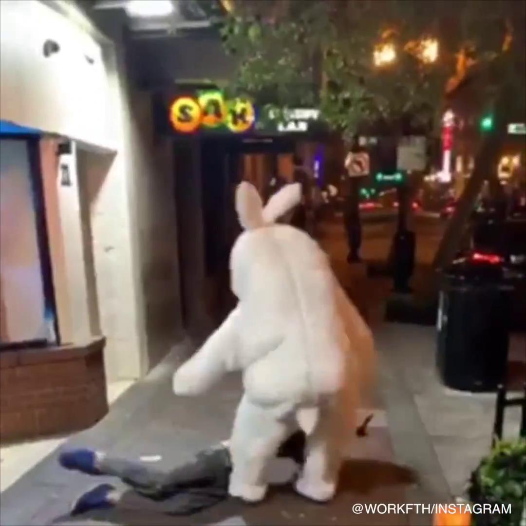 Easter Bunny Throws Punches In Street Fight In Case You Missed It Ktbs Com
