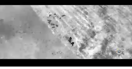 Drone helps Caddo parish deputies catch suspect - Vimarsana News