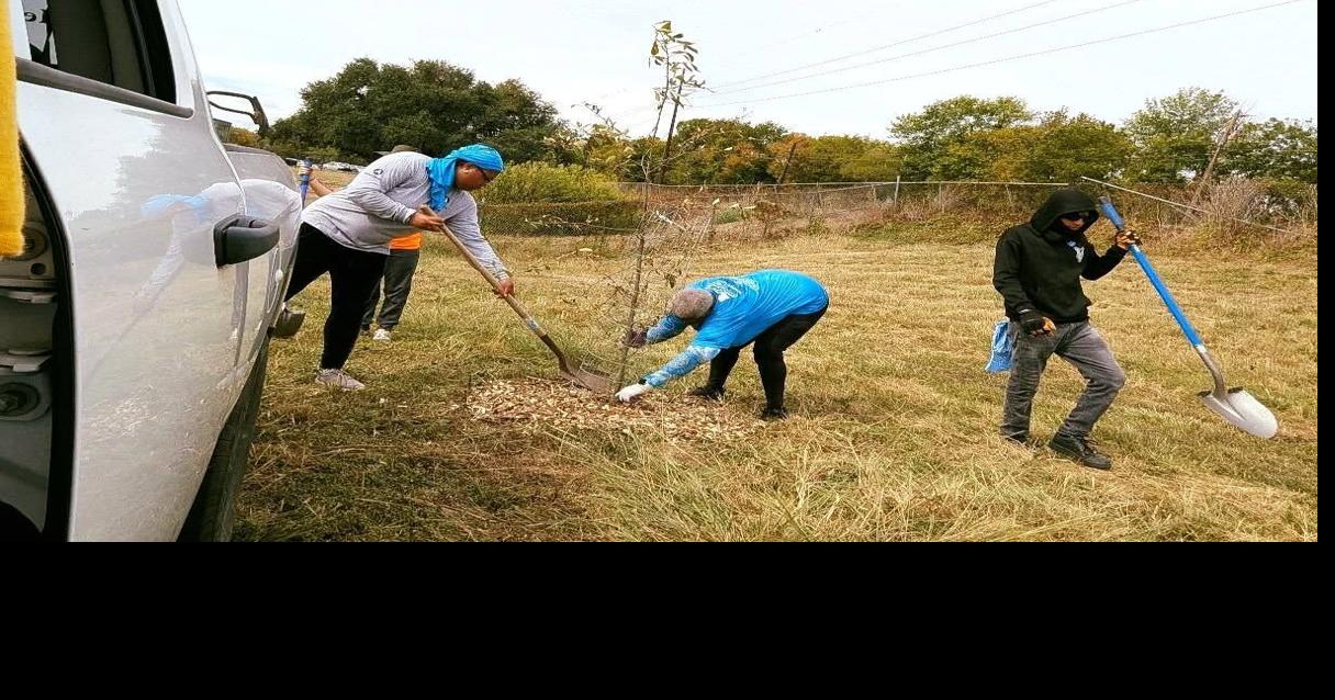 Shreveport Green gives away 500 free trees during annual Trick or Trees ...