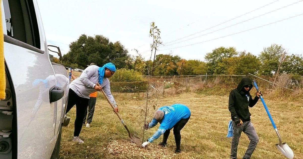 Shreveport Green gives away 500 free trees during annual Trick or Trees ...