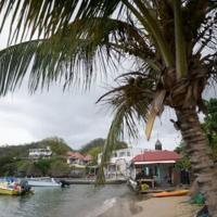 A French woman from the Caribbean island of Guadeloupe has been identified as the only known carrier of a new blood type