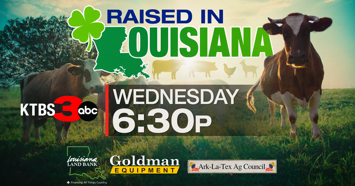 Ktbs.com 6:30 p.m. - 'Raised in Louisiana': KTBS 3 special shines the spotlight ...