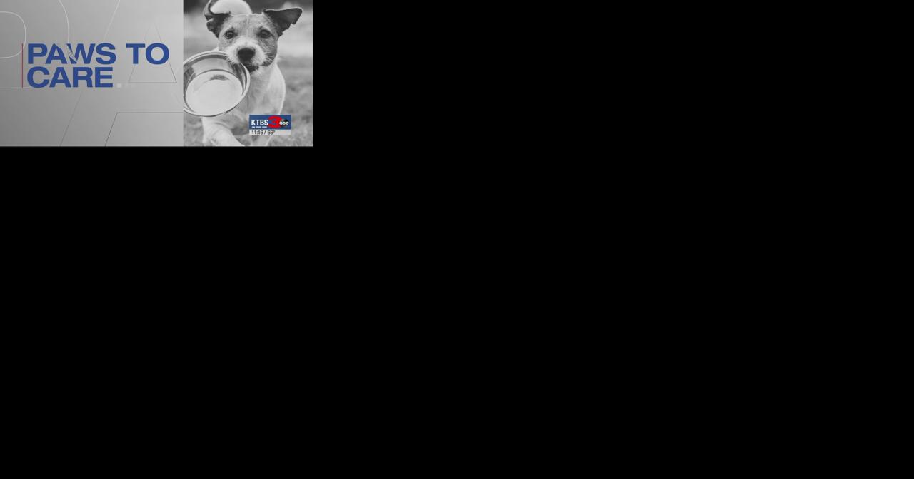 Paws To Care: Texarkana Animal League - Vimarsana News