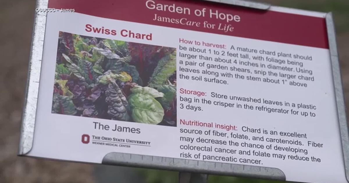 HEALTH MINUTE: LEARNING TO LOVE FOOD AGAIN AFTER CHEMO