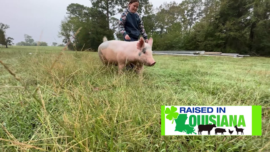 Ktbs.com 6:30 p.m. - 'Raised in Louisiana': KTBS 3 special shines the spotlight ...