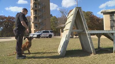 Bossier City Council Members To Appeal Ot Pay For K9 Handlers