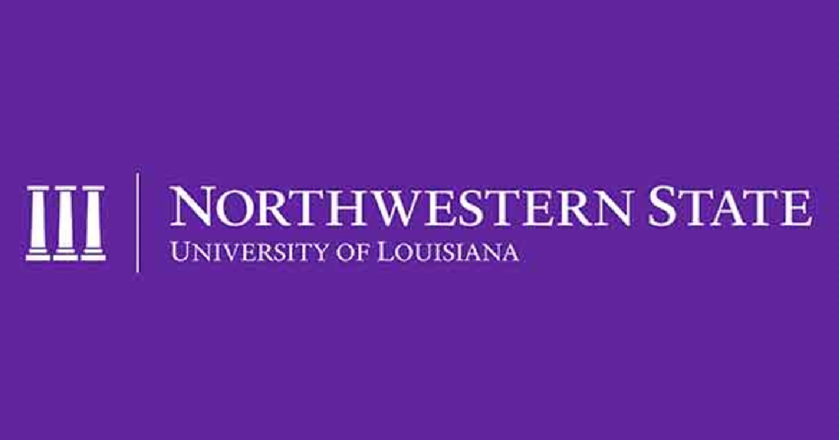 Registration Open for NSU Summer Art Camps - Vimarsana News