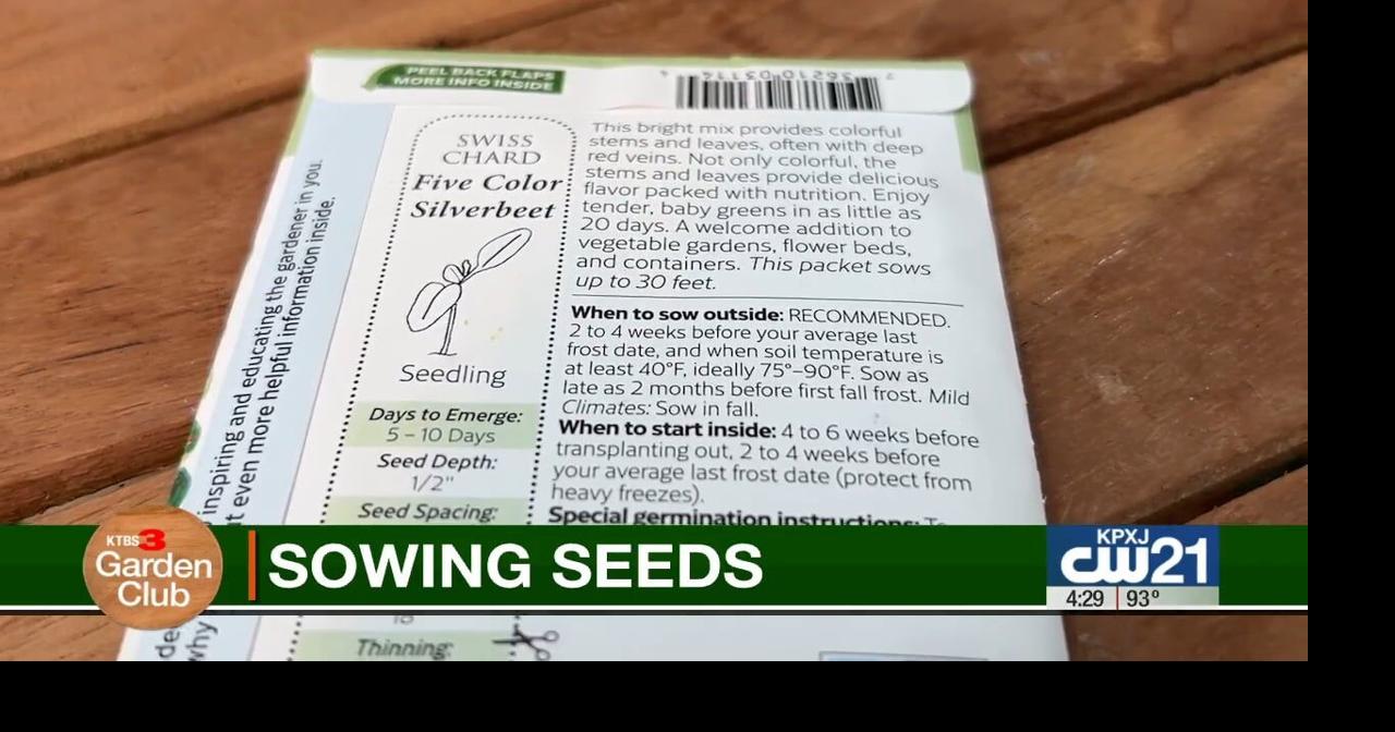 KTBS 3 Garden Club: Why late August is a great time to direct sow seeds
