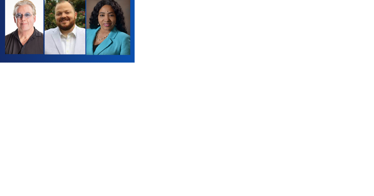 Shreveport City Council District B race now down to 2-person runoff - Vimarsana News