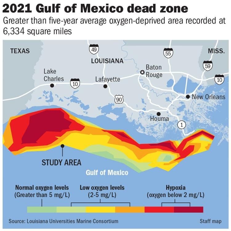 Gulf of Mexico dead zone 10 times bigger than Lake Pontchartrain News