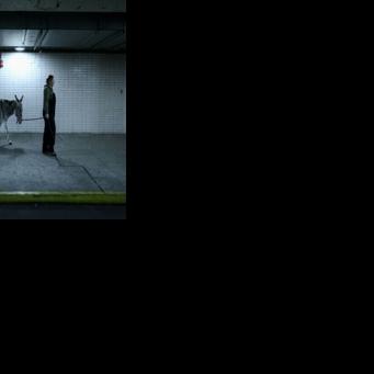 Wanda the donkey enters the Met Opera via a backdoor garage entrance off Amsterdam Avenue in Manhttan's Upper West Side