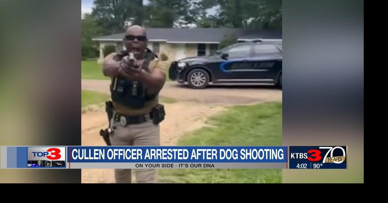 Louisiana Law Targets Reckless Firearm Use, Ensures Safety