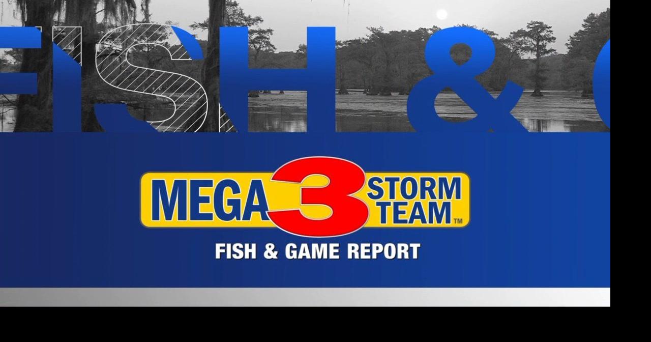 Fish and Game Report
